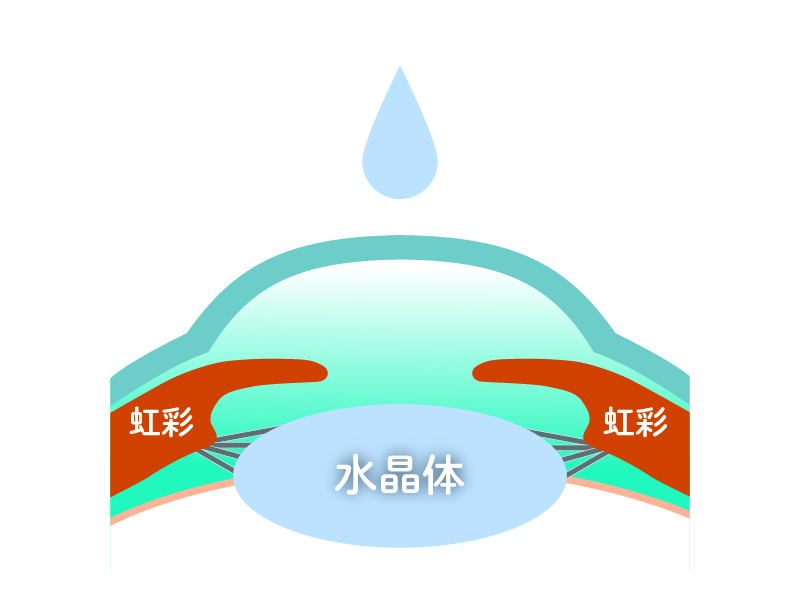 点眼麻酔